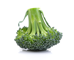 Broccoli on white background