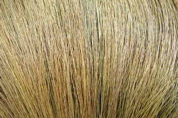 broom texture background