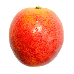 Sicilian orange