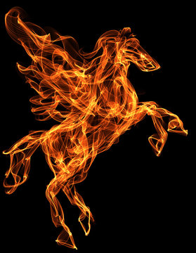Flaming pegasus. Fire texture illustration. Mythology creature
