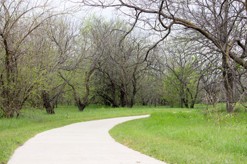 Texas Landscape