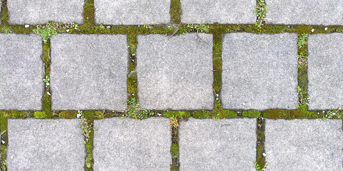 Square paving with grass, HD seamless texture