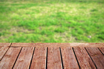 Outdoor scene with grass field background and a natural wooden plank. Empty copy space for editor's text.