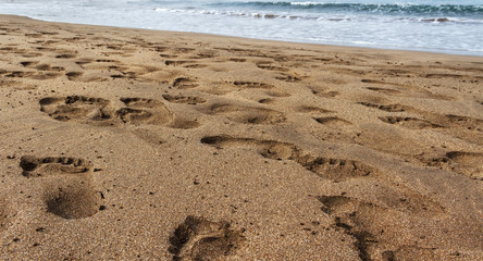 On the beach of Tenerife.