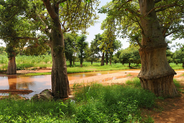 Paisaje de Bandiagara en Mali, Africa