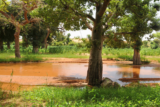 Paisaje de Bandiagara en Mali, Africa