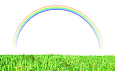 rainbow and grass on white background 3D render