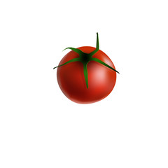 Illustration of a ripe red tomato isolated on a white background
