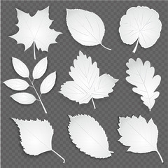 Eco  white cut paper leaves collection. Vector illustration