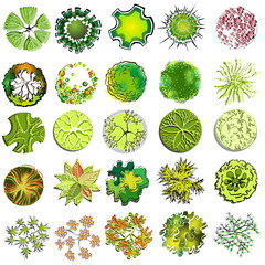 A set of treetop symbols, for architectural or landscape design