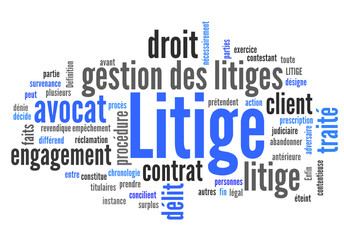 Litige (avocat, médiateur)