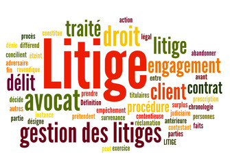 Fototapeta premium Litige (avocat, médiateur)