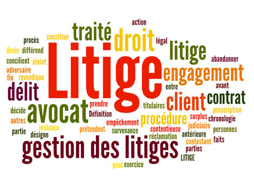 Litige (avocat, médiateur)