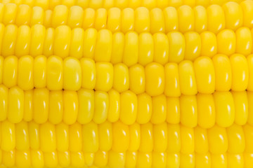 Close-up of yellow sweet corn concept