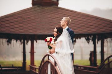 Obraz premium Happy wedding couple, bride and groom posing in park autumn