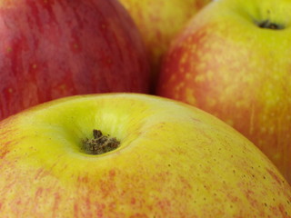 red and green apples closeup, macro, focus on remains of stamens and sepals