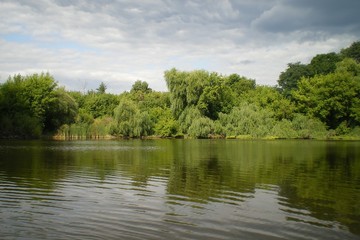 The landscape, consisting of a river, trees and sky.