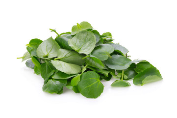 Fresh Watercress isolated on white background
