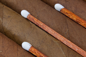 Detail of luxury Cuban cigars in the box