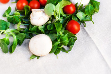 Fresh Vegetable Ingredients for salad..