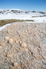 Rock texture, metamorphic rocks, background