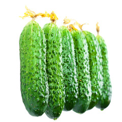 ..Fresh Cucumber isolated over white background close up.
