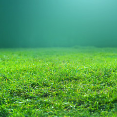 Naklejka premium Fresh spring green grass on green background may use as texture
