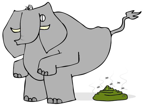 Illustration of an elephant bending over and straining to defecate.