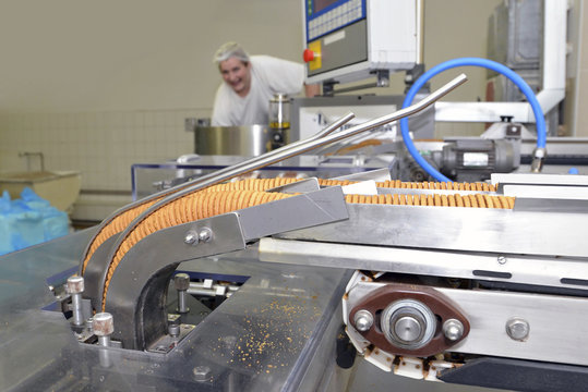 Germany, Saxony-Anhalt, production line with cookies in a baking factory