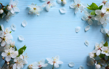 art Spring floral border background with white blossom