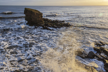 Charlies Garden, a Rock outcrop at Collywell Bay on the coast of Northumberland, England, UK. Taken at dawn with early morning sunlight.