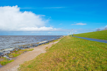 Dike along a stormy sea in spring