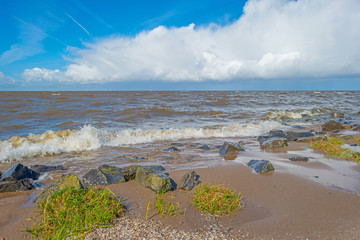 Dike along a stormy sea in spring
