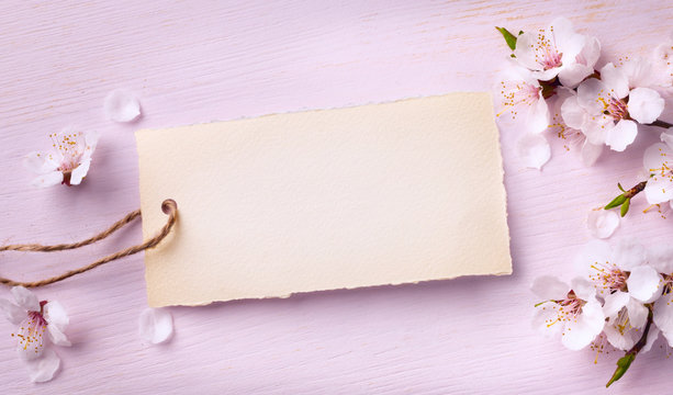 art Spring floral background with pink blossom