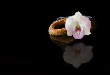 Fototapeta na wymiar white violet orchid flowers on water black background