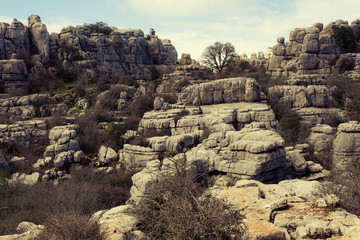 View of karst rocks in El Torcal, Antequera. Spain.