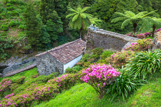 Garden on Sao Miguel island, Azores. It is located in the midst