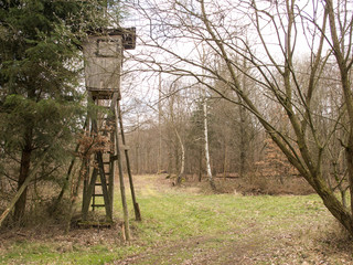 Hochstand im Wald