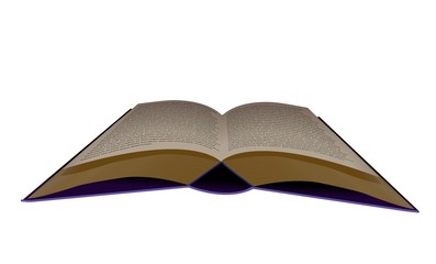 aufgeschlagenes Buch 