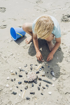 France, Brittany, Finistere, Pointe de la Torche, boy playing with seashells on the beach