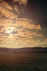 Picture of early spring