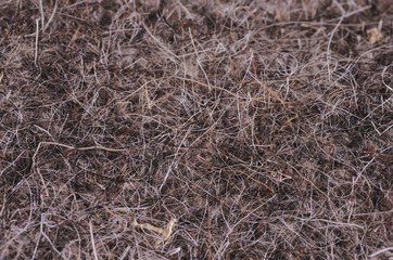 Thick felt - texture, background.