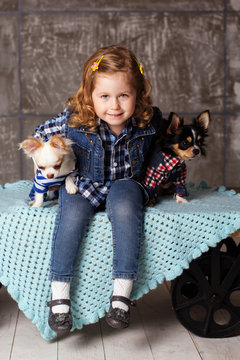 Child girl is holding two small chuhuahua dogs