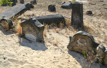 Zdewastowany cmentarz żydowski w Karczewie