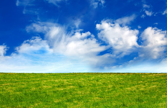 Green fild against the blue sky
