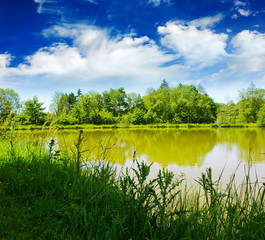  Lake and green trees on sky background.