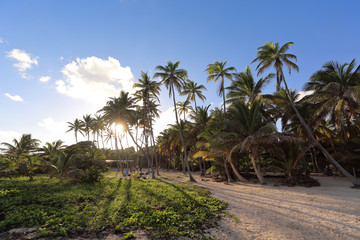 Fototapeta na wymiar Sunset on Anse Michel Beach, Cap Chevalier, Martinique, Caribbean