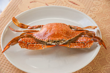 thai cuisine: Steamed  crab