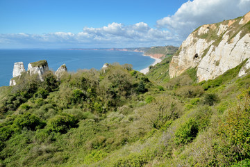 Hooken undercliffs
Jurassic Coast, Branscombe, Devonshire, England, United Kingdom