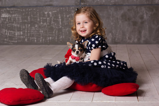 Little child girl is holding small chuhuahua dog